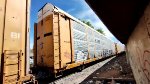 NS 28625 TTGX 160804